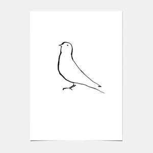 Affiche d'Art - Bird - 01