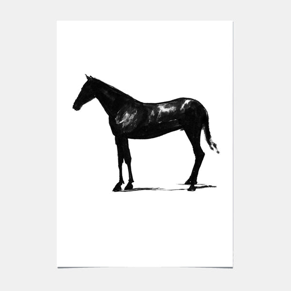 Kunstposter - Pferd - 10