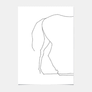 Affiche d'Art - Horse - 13