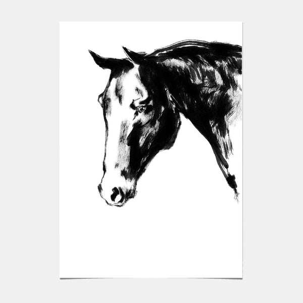 Kunstposter - Pferd - 09