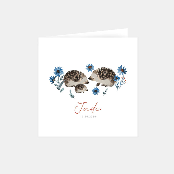 Faire-part naissance famille hérisson