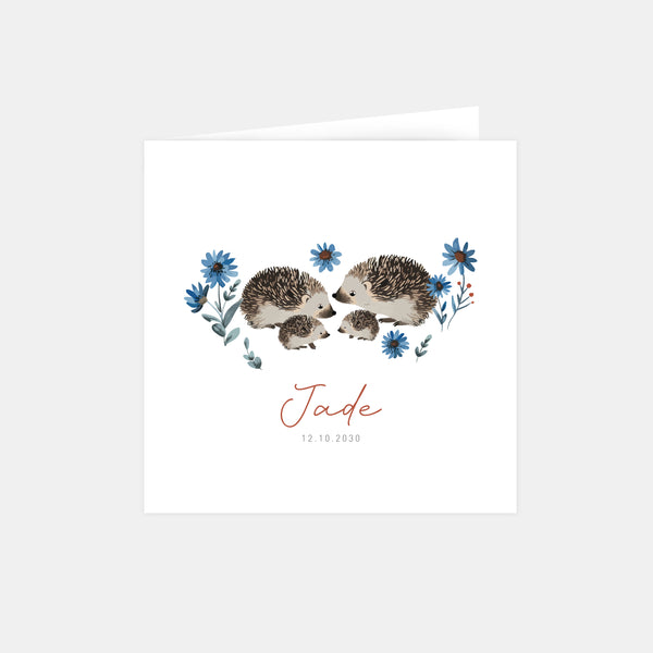 Faire-part naissance famille hérisson