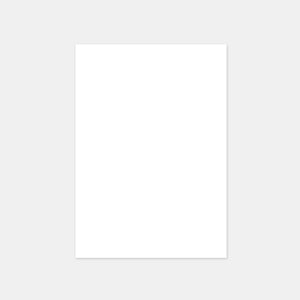 A4 sheet of vellum paper 200g White