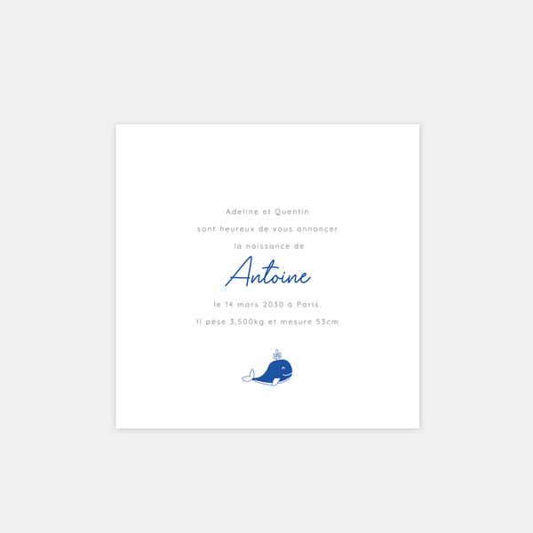 Faire-part naissance couronne marine
