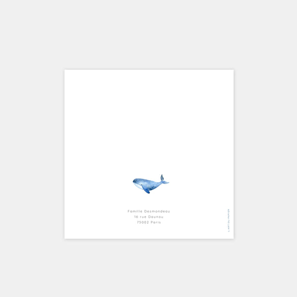 Faire-part naissance famille baleine