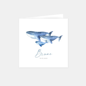 Whale family birth announcement