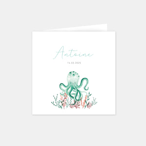 Little octopus birth announcement