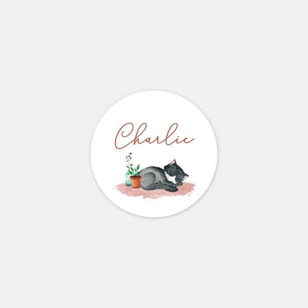 Personalized little cat birth stickers - 48ex