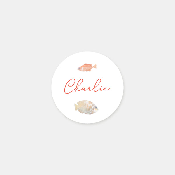 Personalized seabed birth stickers - 48ex