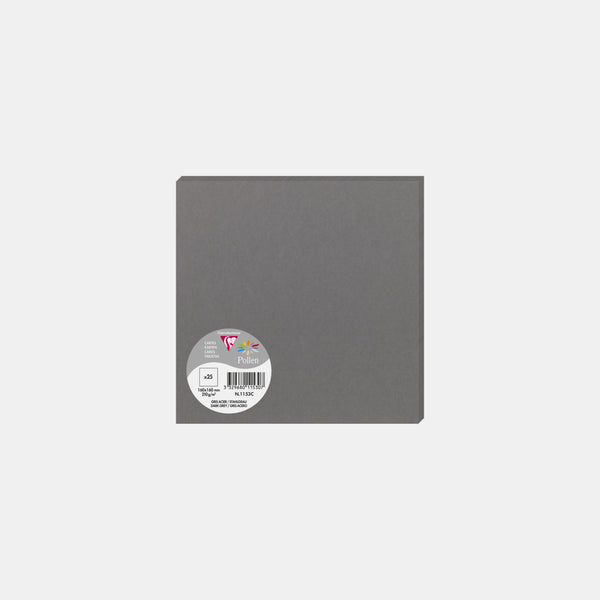 Carte 160x160 velin 210g gris acier Pollen