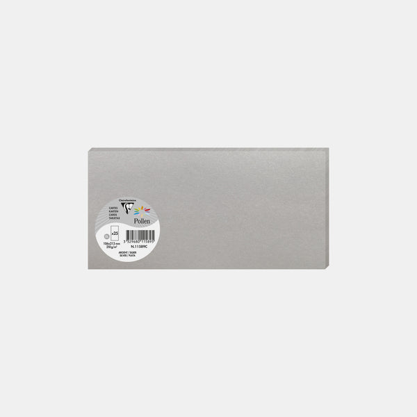Card 106x213 iridescent 210g silver Pollen