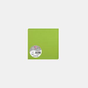 Card 135x135 vellum 210g mint green Pollen