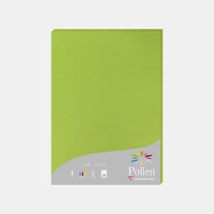 A4 vellum sheet 210g mint green Pollen