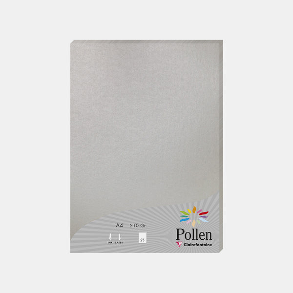 Feuille A4 irisé 210g argent Pollen