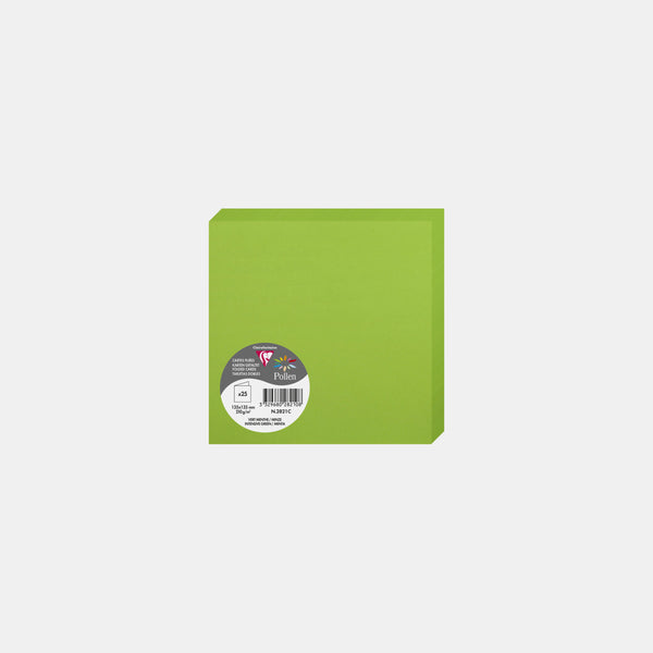 Vorgefaltete Karte 135x270 Pergament 210g mintgrüner Pollen
