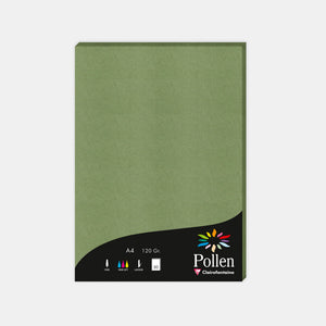 Feuille A4 velin 120g vert sauge Pollen