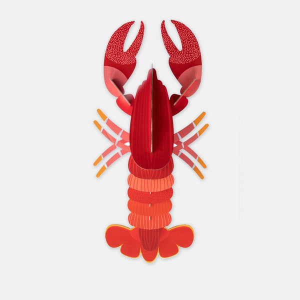 Homard - Studio Roof