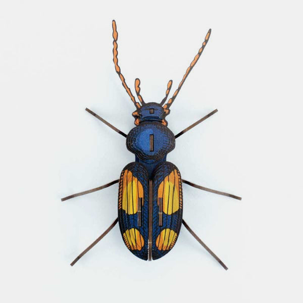 3D-gekitzelte Insekten