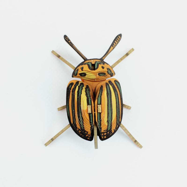 3D-Pucetulus-Insekten