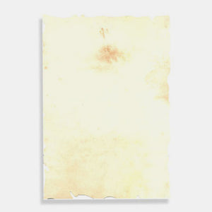 A4 sheet of parchment paper 110g cream