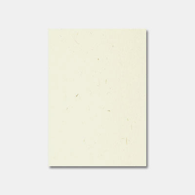 pqt 20 feuilles a4 papier paille 200g