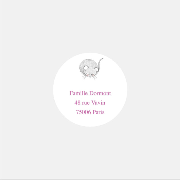 Personalized birth stickers my mouse - 48ex