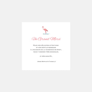 Jungle Flamingo birth thank you card