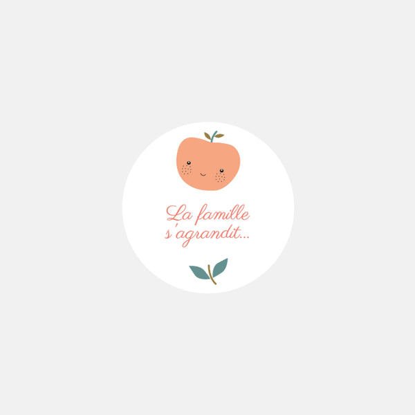Personalized apple family birth stickers - 48ex
