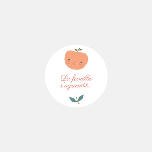 Personalized birth stickers Family Apples