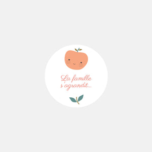 Stickers personnalisés naissance famille pommes - 48ex