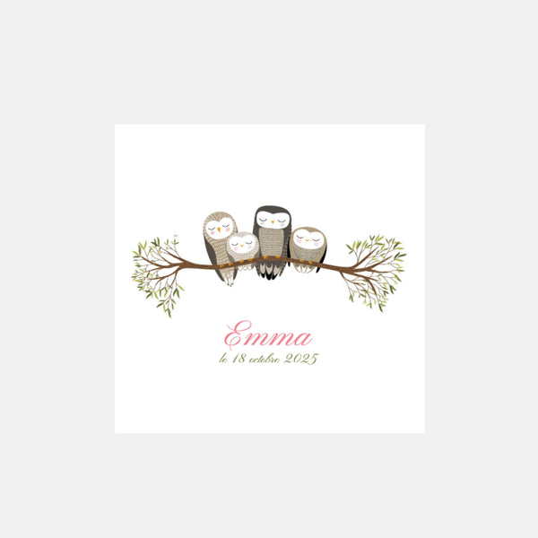 Faire-part de naissance famille chouettes
