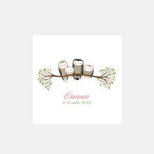 Owl family birth announcement