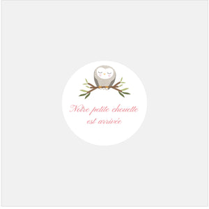 Stickers personnalisés naissance famille chouettes - 48ex