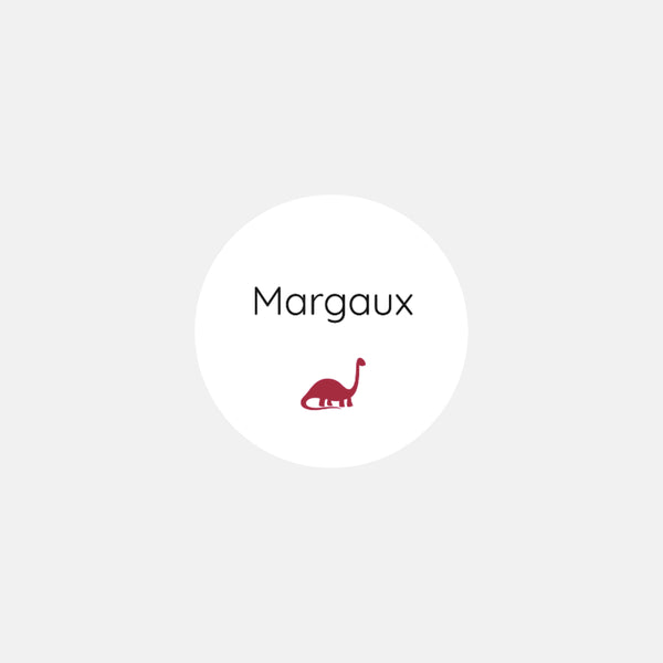 Personalized polaroid birth stickers little dinosaur - 48ex
