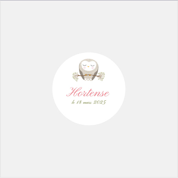 Personalized classic owl birth stickers - 48ex