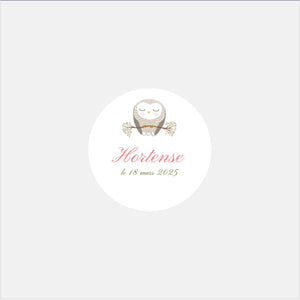 Stickers personnalisés naissance classique chouette - 48ex