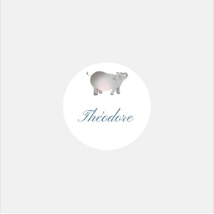 Stickers personnalisés naissance clasique hippo - 48ex