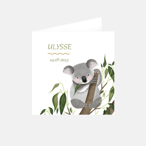 Koala birth announcement