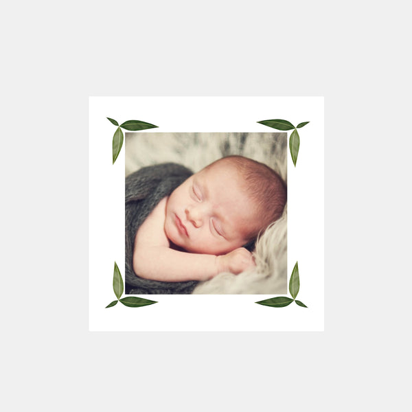 Faire-part de naissance koala