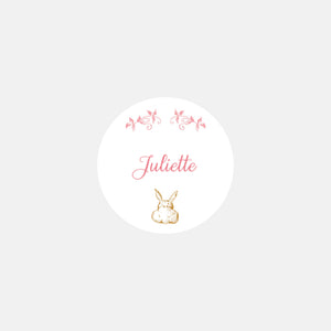 Personalized sugared birth stickers - 48ex