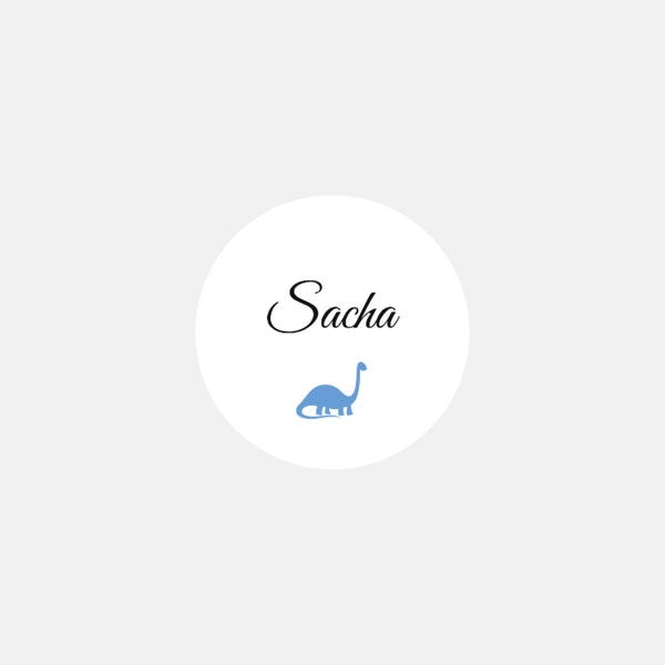 Personalized small dinosaur birth stickers - 48ex