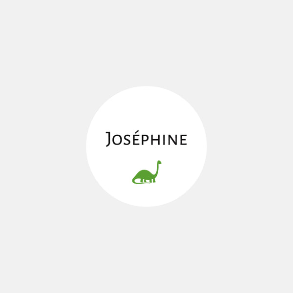Personalized birth stickers Classic oetit dinosaur - 48ex