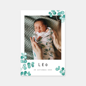 Eucalyptus birth announcement