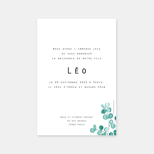 Faire-part de naissance eucalyptus