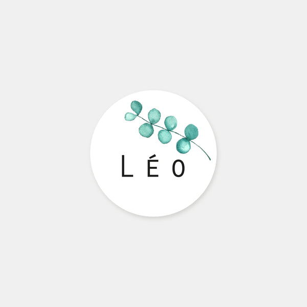 Personalized eucalyptus birth stickers - 48ex