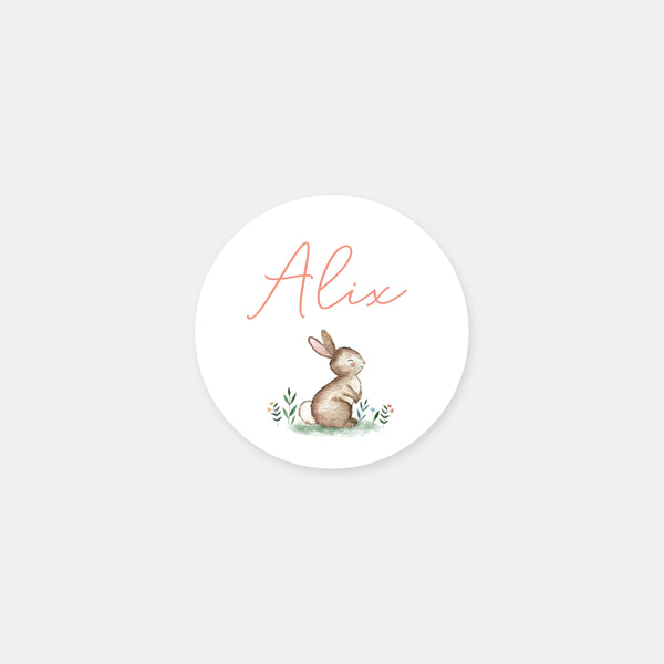 Stickers personnalisés naissance petit lapin - 48ex