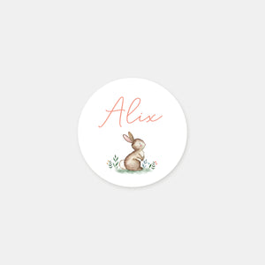 Personalized little rabbit birth stickers - 48ex