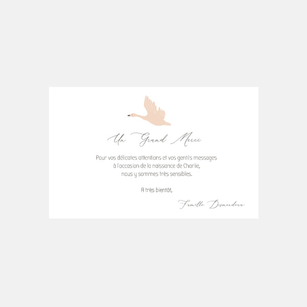 Birth thank you card L’envolée