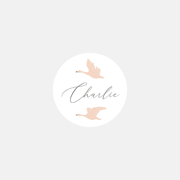 Personalized birth stickers L'envolée - 48ex