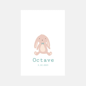 Faire-part de naissance doudou garçon